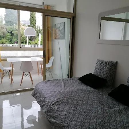 Festival Apartment